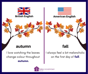 British and American Vocabulary - 50 DIFFERENCES with images! | Arnel's ...